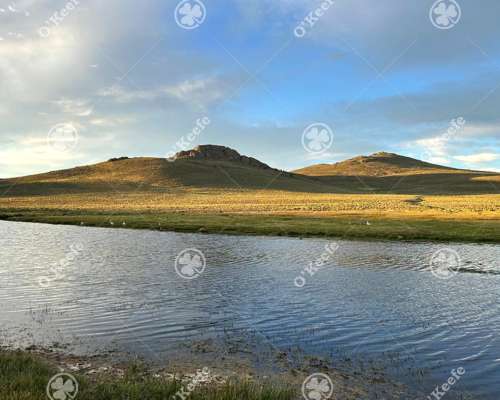 Campo en Venta de 4394 Has Comallo, Rio Negro