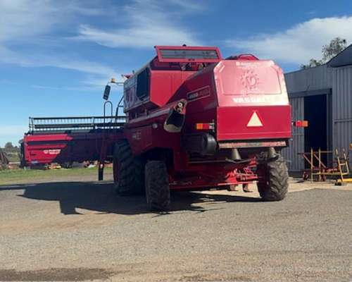 Vassalli 1550 año 2009