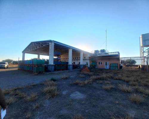 Campo con Fabrica de Aceite de Oliva en Catamarca