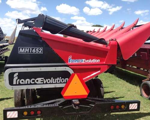 Maicero Franco Fabril. año 2024. 14 a 52 cm