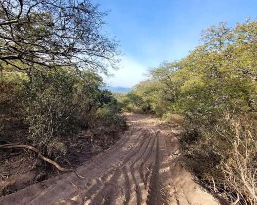 Campo Panorámico de 15 Ha en Coronel Moldes, Salta