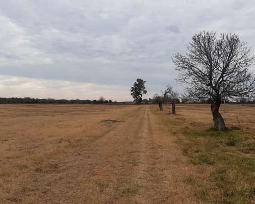 20,5 Ha Campo. con Casco. Buen Estado. Precio Inmejorable