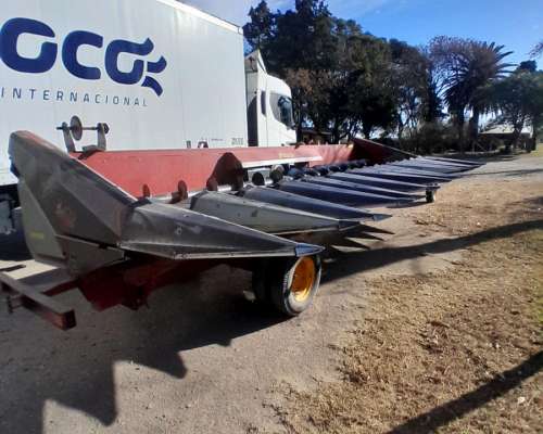 Maicero Maizco Mxiii de 13 a 52cm