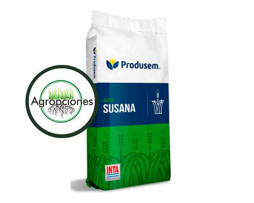Semilla de Avena Susana - Semilla Fiscalizada
