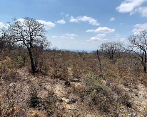 3000 Has. Aptitud Ganadero a Desarrollar en Rumiaco