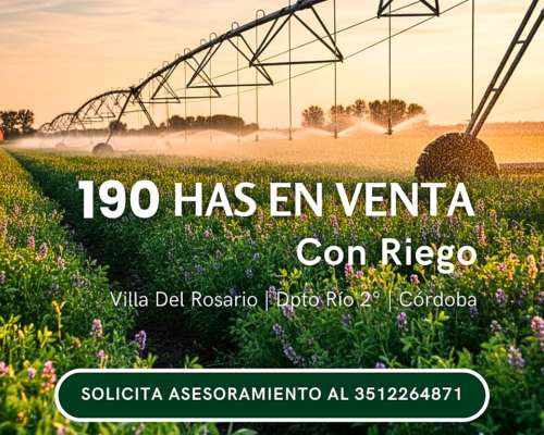 190 Has Productivas - con Riego, Renta y Escritura