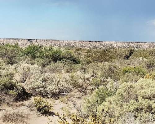 550 HA- Arena Silicea-valle Rio Colorado-peñas Blancas