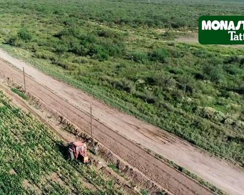 La Escandinava / Mendoza - 1000 Has.