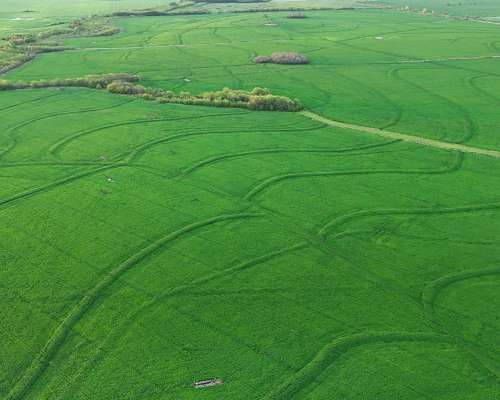 340 Ha Agricolas Capitan Sarmiento