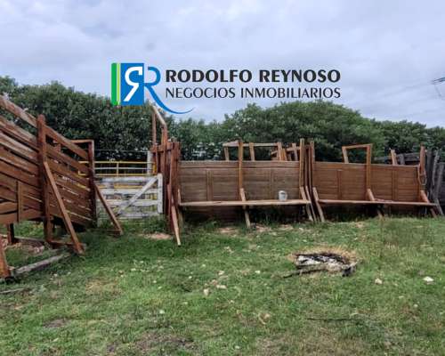 Granja Avícola de 33 Hectáreas