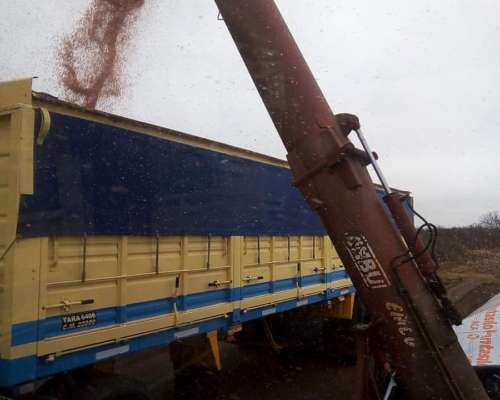 Extractora de Granos Ombu Emco 2002