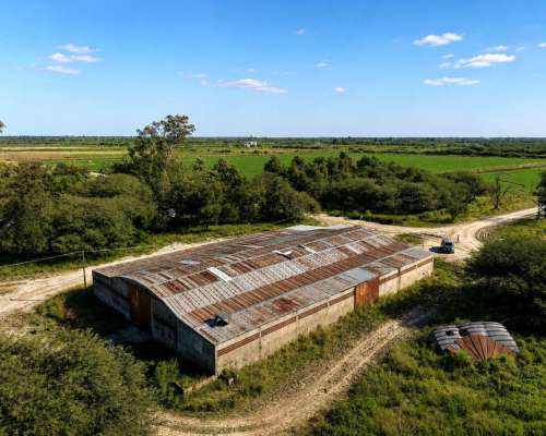 Fernández, Robles, Santiago del Estero - 1.098 Ha