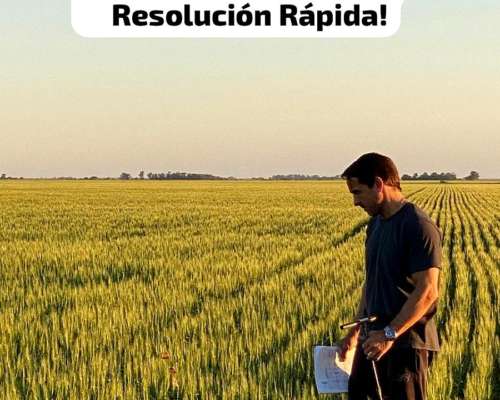 Compramos Campo Agricola Desde 1500 a 4000 Has