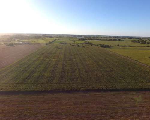 Venta Campo Agrícola. 16 HA. Recreo, Santa FE.