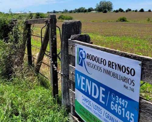 01. Buscamos Campos, Llamanos Ahora