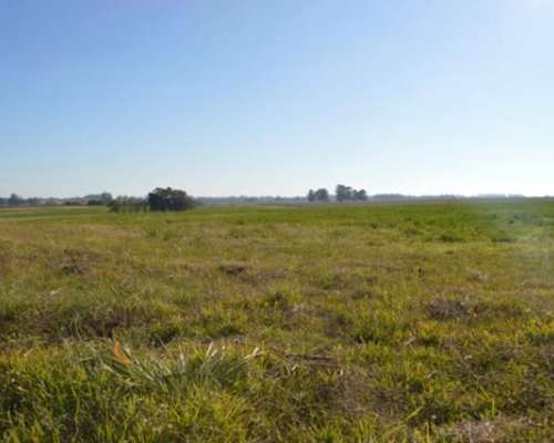 44.5 HA. en San Cipriano