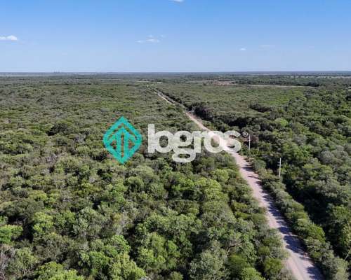 Campo en Venta de 385 Ha en Joaquín V. González, Salta