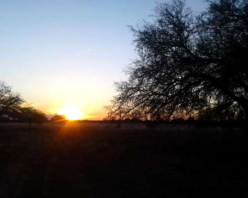 Vendo Campo de 22 Has. Cerca de San Fco. del Monte de ORO