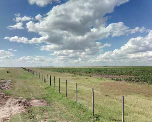 1000 Hectáreas Agricolas. Oportunidad