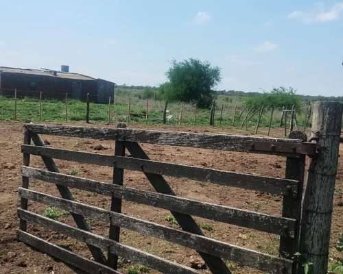 Ezn Venta Campo Ganadero 700