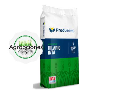 Semilla de Vicia Sativa Hilario Inta - Semillero Produsem