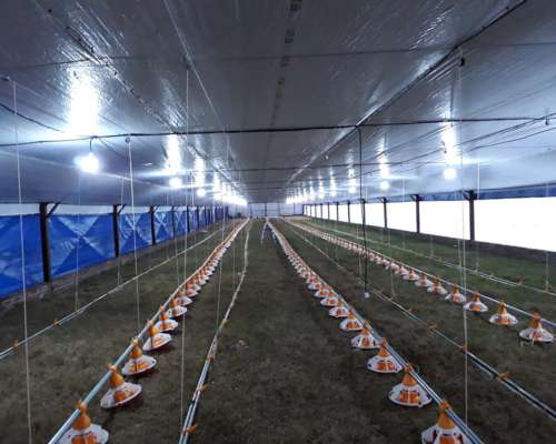 Fabricantes de Implementos Avícolas