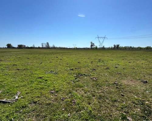 Campo Mixto de 50 Hectáreas