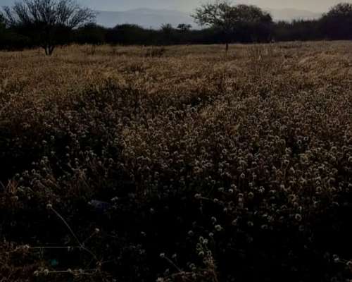 Venta Exclusiva: Campo de 70 Hectáreas con Infraestructura e