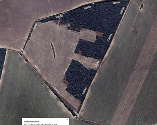 25 Ha Agrícolas Premium Luz, Pozo y Pago Adelantado la C