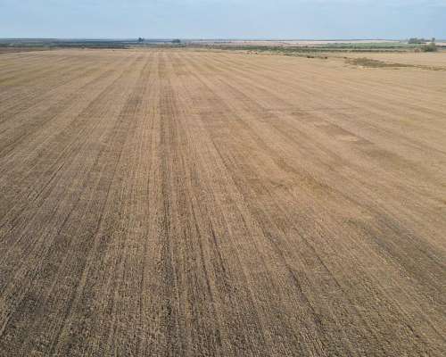 220 Hectáreas Campo Agrícola en Gualeguaychú.
