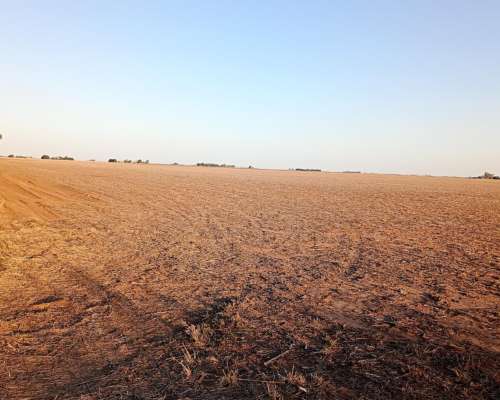 Campo Entre Rio Tercero y Tancacha
