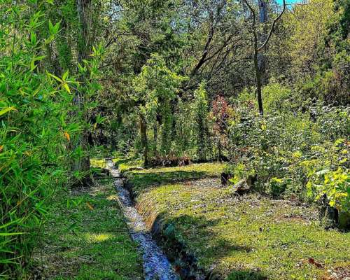 🏞️𝟑 𝐇𝐚𝐬 𝐓𝐫𝐚𝐬𝐥𝐚𝐬𝐢𝐞. 𝐋𝐨𝐦𝐚 𝐁𝐨𝐥𝐚 𝐂𝐛𝐚