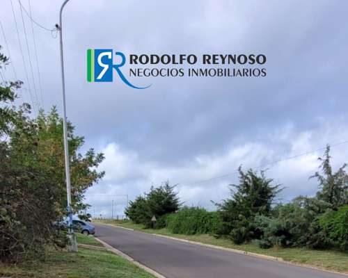 Lote en Venta en Liebig – Entre Ríos