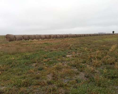 Campo en Venta en Noetinger - Títulos Perfectos