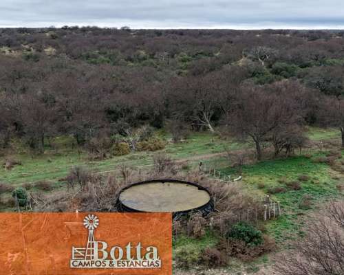 Campo Ganadero en Venta en Hucal, la Pampa