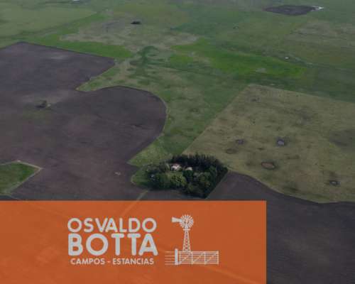 Campo Mixto en Venta 103 Has en Miramar, Buenos Aires