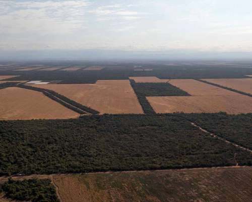 Pcia. de Salta - Apolinario Saravia 6390 Has