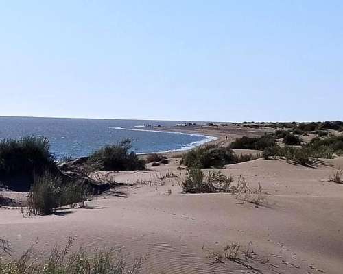 Bahia San Blas, Patagones, Buenos Aires - 294 Ha