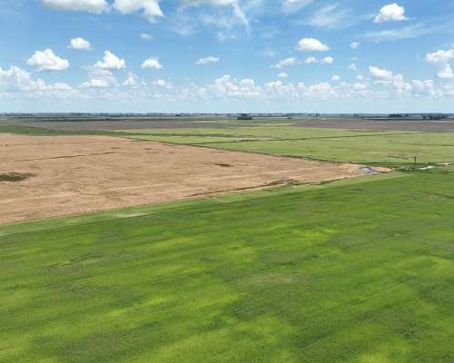 1380 Has. Campo Mixto S/ Ruta 7 en San Andres de Giles