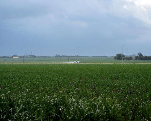 Venta de Campo en Amércia, BS AS - 460
