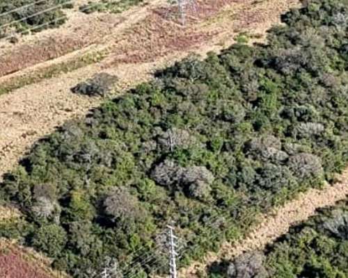 Vendo Lote de 30 Hectáreas Sobre RN 95 Sáenz Peña Chaco