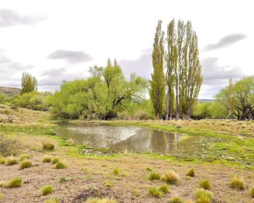 Campo Mixto en Esquel, Precordillera