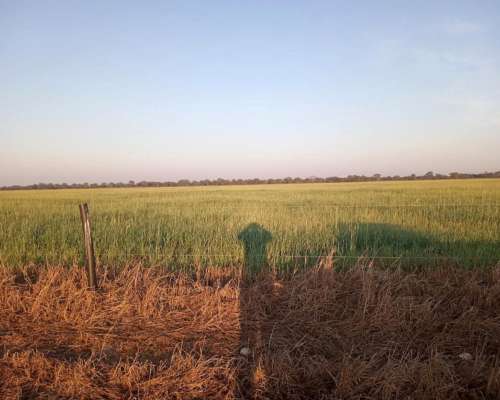 Vendo Campo en Matará