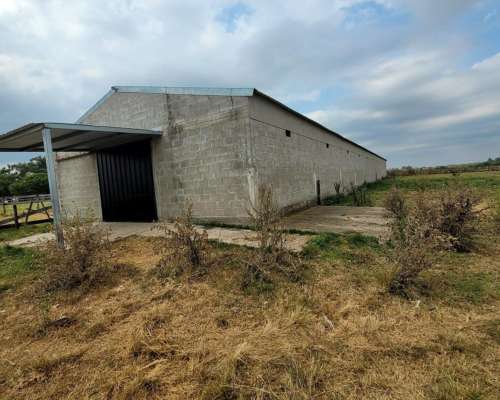 35 HA. Ganaderas - Equinos, Stud. Dpto. Colón