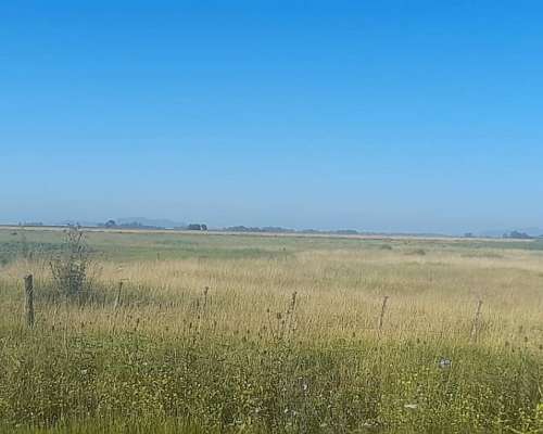 Campo Agricola 190 Ha AYA