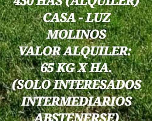 San Vicente: 430 Has (alquiler)