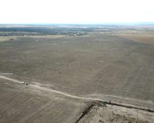 Vende Campo - 80 Ha - Fraga, San Luis