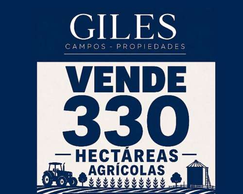 Campo Agrícola 330 Hectáreas Salto