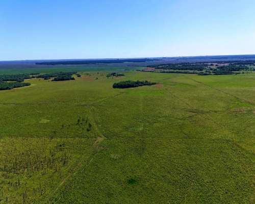 Santo Tomé - 2365 Ha - Corrientes