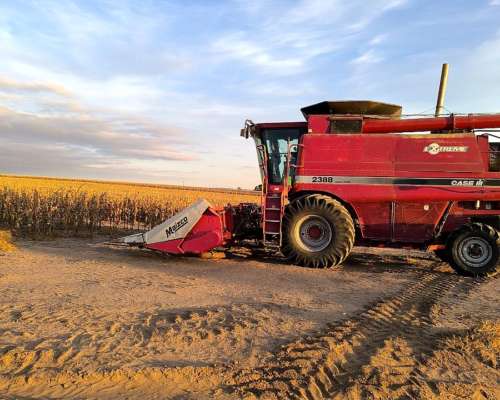 Case 2388 con Mapeo y Maicero